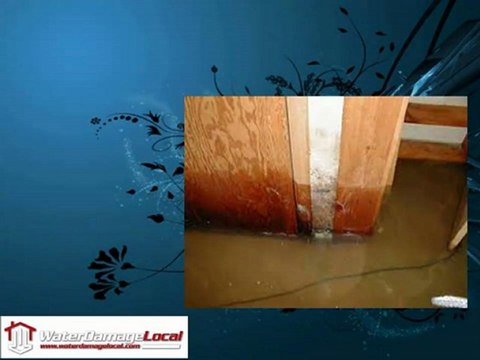Water Damage Company East Point