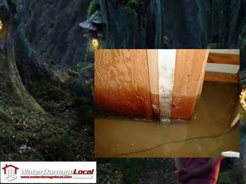 Water Damage Company Roswell