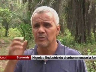 L’industrie du charbon menace la forêt nigériane