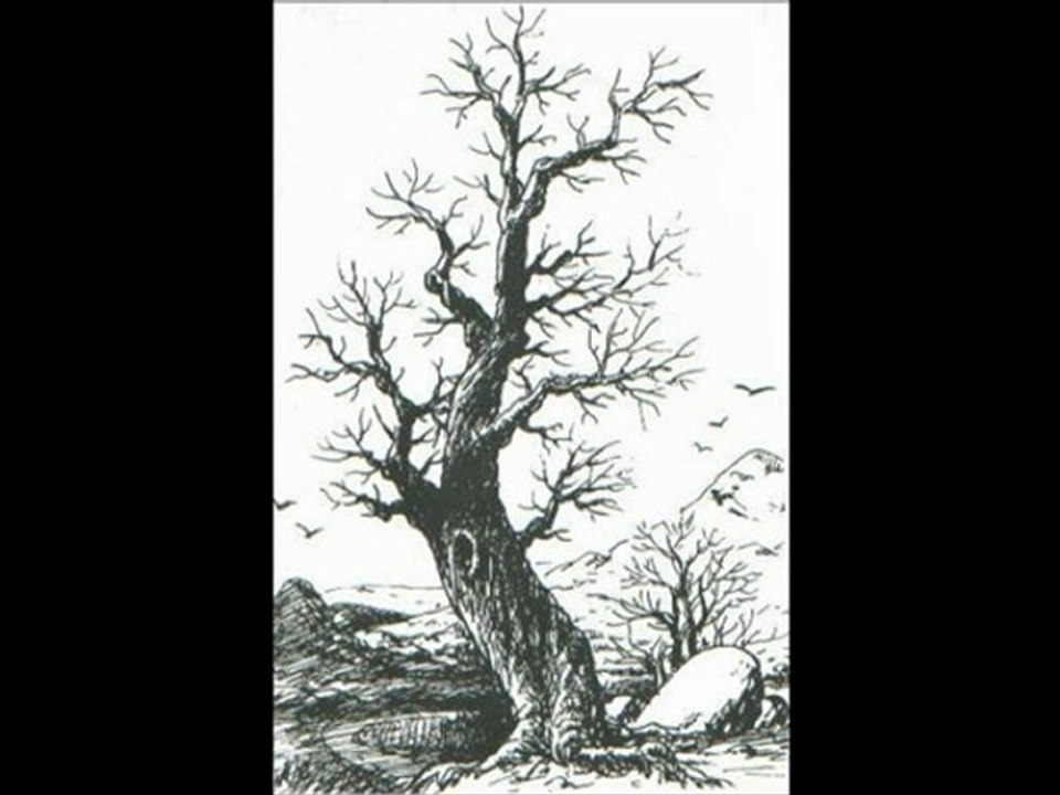 lacuna coil falling again (acoustic)