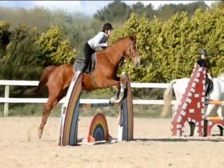 Mercredi 4 Avril 2012 - Cours de 17h30.