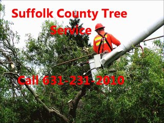 Suffolk County Tree Service & Tree Removal-Call 631-231-2010