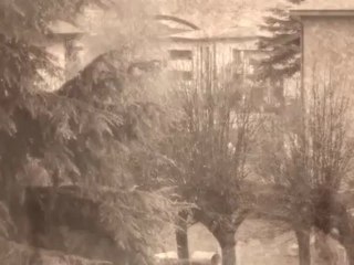 Comiche Moderne: La Fretta di Oggi 🏃‍♂️