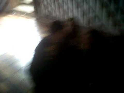 VID 00004-20120404-1144