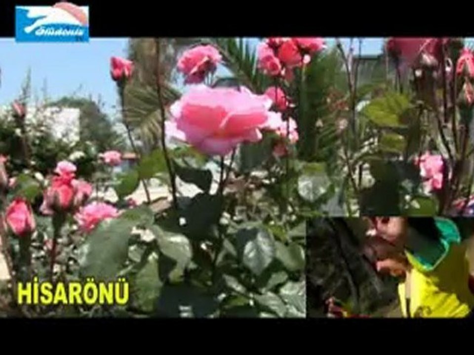 Ölüdeniz Taşıyıcılar Kooperatifi