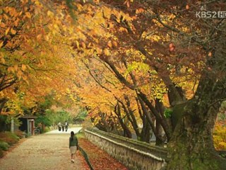 L.R.E03.AsyaFanatikleri_1