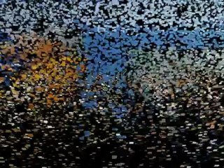 Ringworm In Your Cat