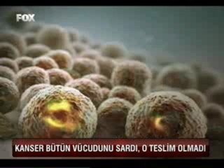 Fox hbr 4 N WWWOLAYWEBCOM