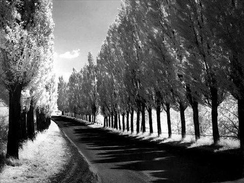 Muhsin Tozlu - Uzun İnce Bir Yoldayım - 44