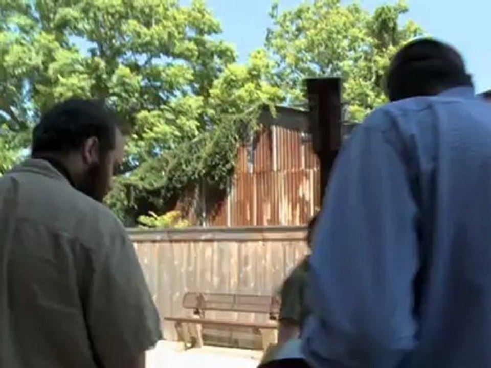 Balade en Sax Majeur