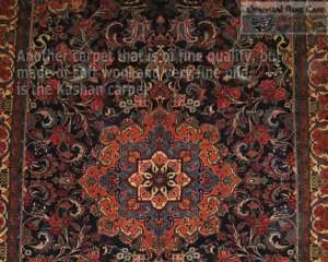 Pet Stain Removal Miami Gardens