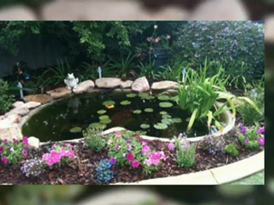 Pond cleaning perth, Perth pond cleaning, Pond maintenance perth, Pond cleaner perth, Aquarium cleaning perth