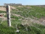 Nusaybin'li aile, Suriyede cezaevinde tutulan oğullarının getirilmesini istiyor