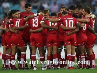 Reds vs Brumbies Live Match Stream