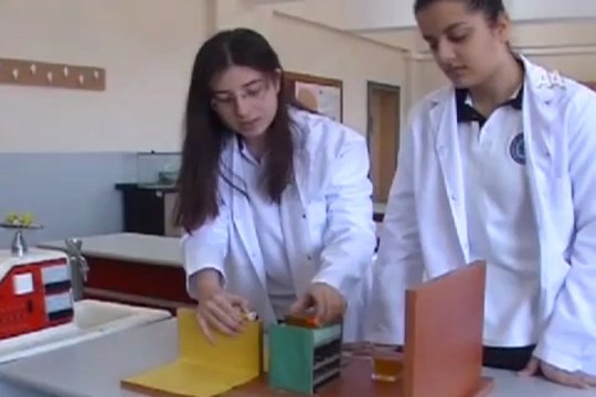 Bal sorununa öğrencilerden çözüm