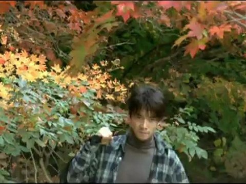 PRINTEMPS, ETE, AUTOMNE, HIVER... ET PRINTEMPS - Bande-annonce VO