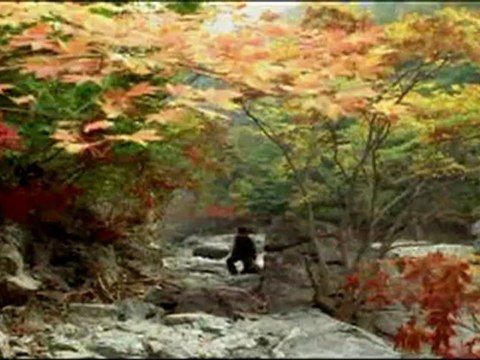 PRINTEMPS, ETE, AUTOMNE, HIVER... ET PRINTEMPS - Bande-annonce2 VO