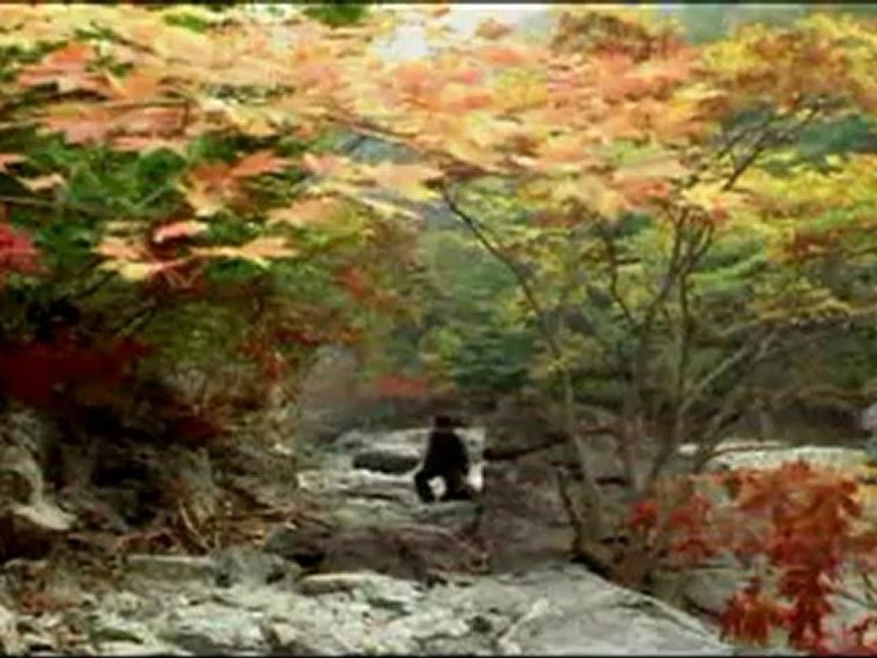 PRINTEMPS, ETE, AUTOMNE, HIVER... ET PRINTEMPS - Bande-annonce2 VO