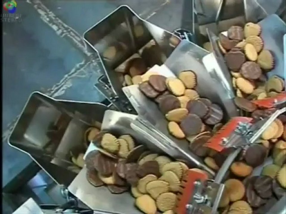 TECHNO D - Multitesta per biscotti