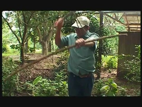 D'AUTRES MONDES - Bande-annonce VF