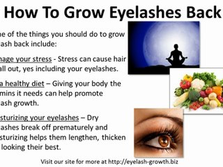 How To Grow Eyelashes Back