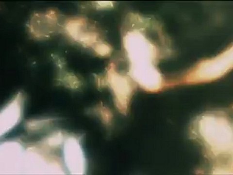 ANACONDAS : A LA POURSUITE DE L'ORCHIDEE DE SANG - Bande-annonce VO