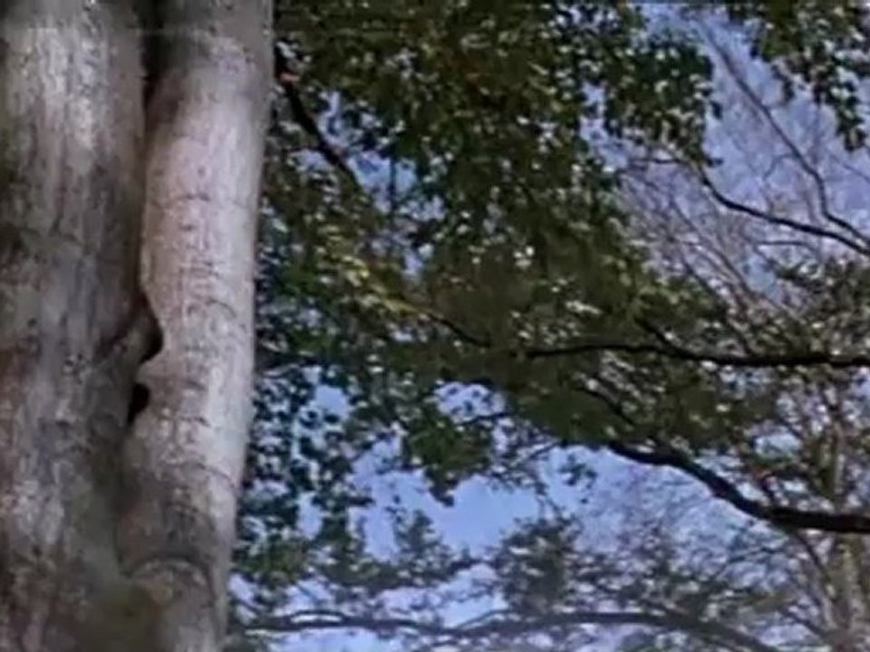 01 Chingachgook bolshoi zmei(1967)_chunk_1