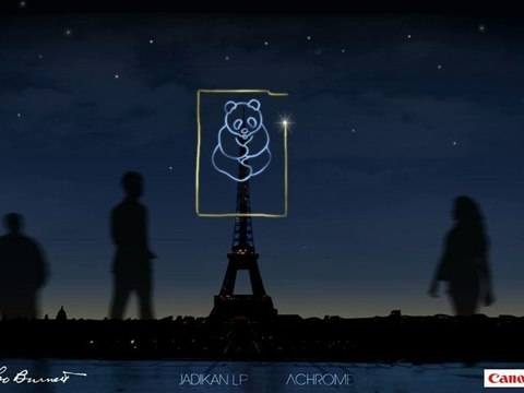 Earth Hour 2012 - Animation light painting