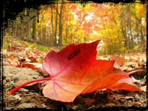 Urfa sıra geceleri ,Ahmet TUNCER urfalı sevmis ŞİİR VERSİYONU