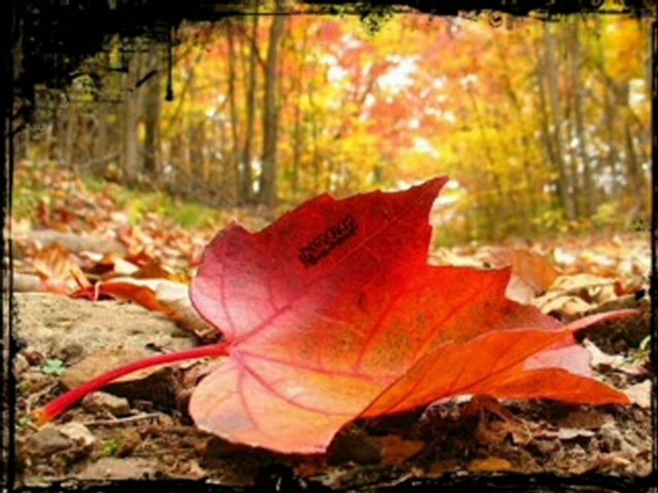 Urfa sıra geceleri ,Ahmet  TUNCER  "urfalı sevmis "ŞİİR VERSİYONU