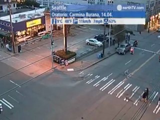 Tenerife - Spain, Venice - Italy, Seattle - USA, Washington - USA, Cannes - France, Lucerne - Switzerland, Geneva - Switzerland