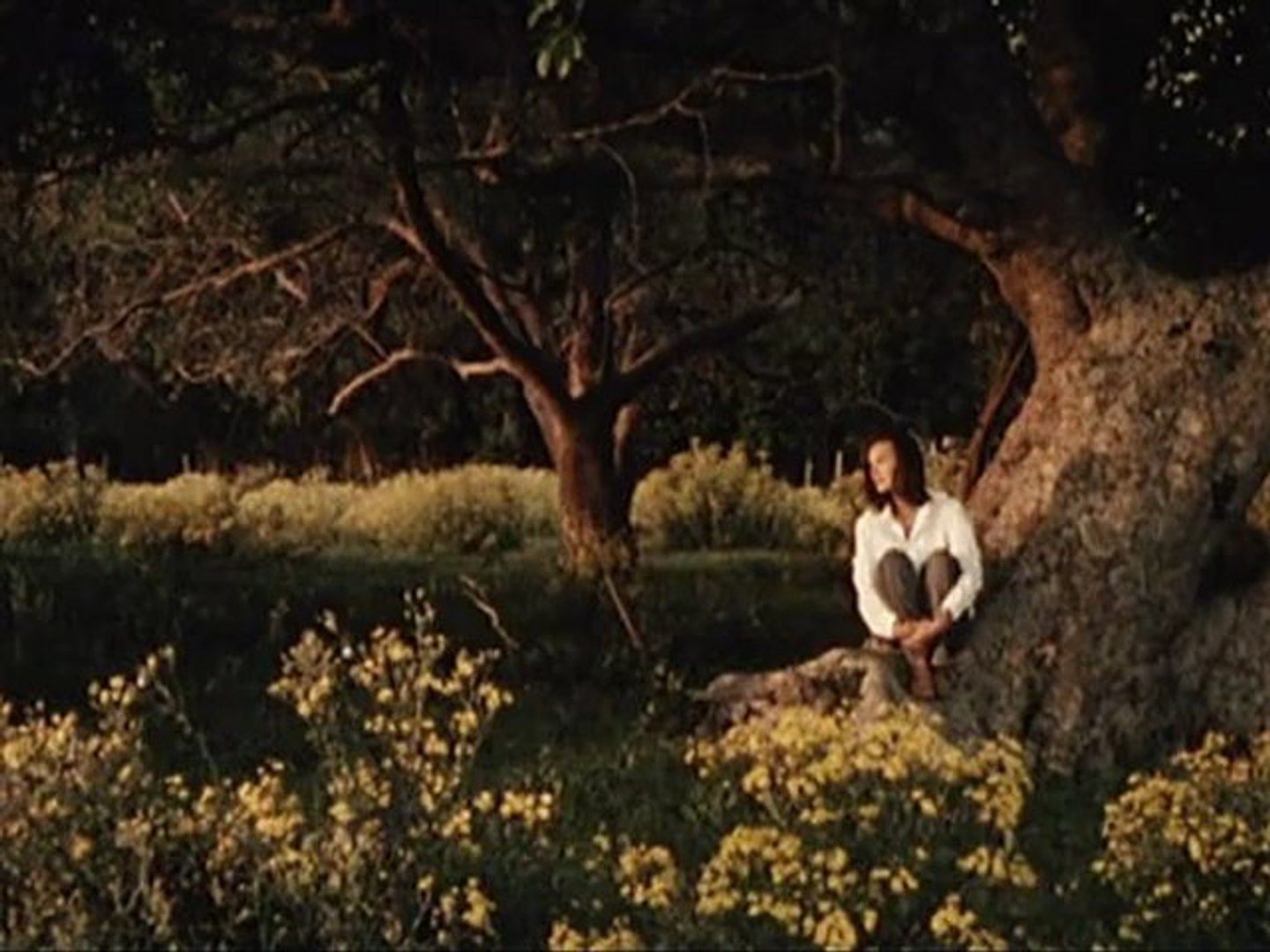 NORDESTE - Bande-annonce VO