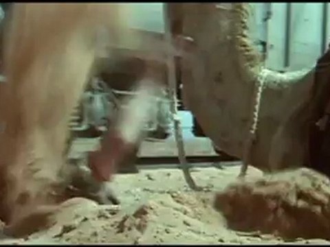 SAHARA - Bande-annonce VF