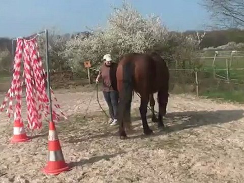 30.03.2012.f.tenebra.rubalise