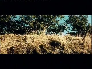 QU'AS-TU FAIT A LA GUERRE, PAPA ? - Bande-annonce VO