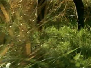 A CE SOIR - Bande-annonce VF