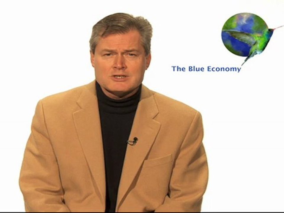 The Blue Economy - Innovation No.2: Maggots - Nature's Nurses
