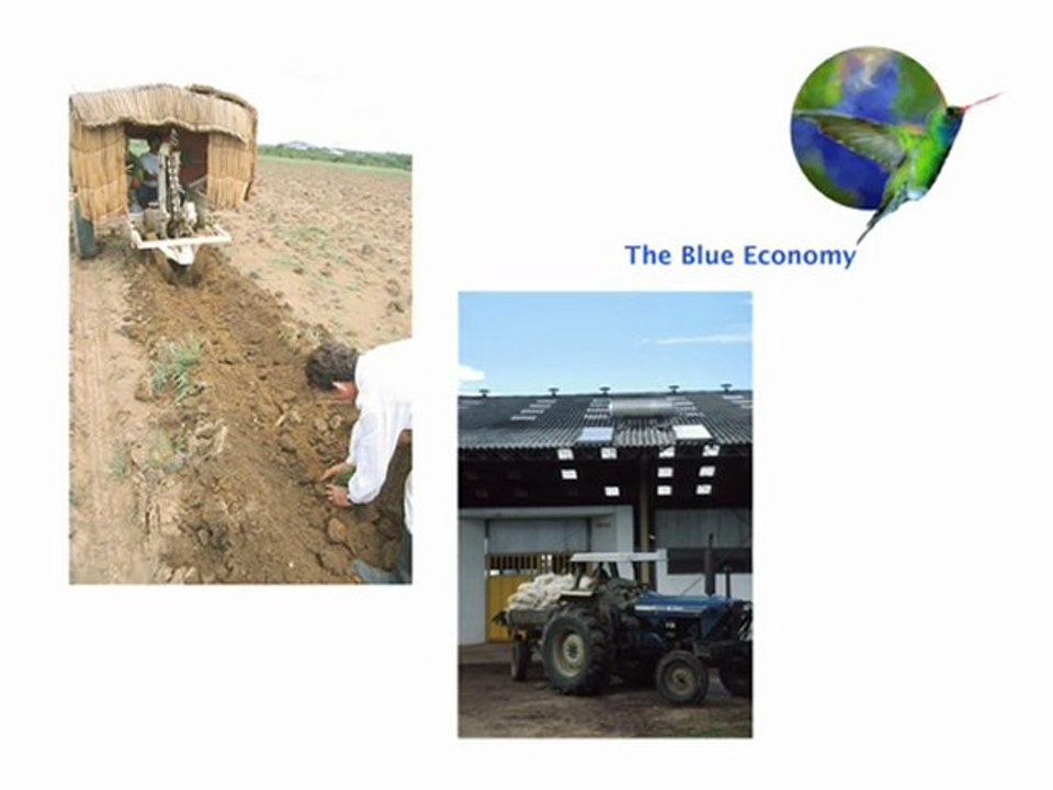 The Blue Economy - Innovation No.6: Fuel from Forest