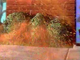 CHICKEN LITTLE - Bande-annonce VF