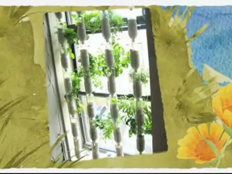 Halifax Hydroponics Water Farm Hydroponics Halifax