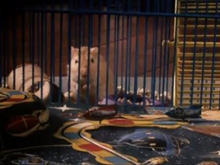 ZATHURA UNE AVENTURE SPATIALE - Bande-annonce VF