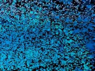 Spotting Ringworm In Your Dog