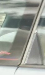 UN COUPLE PARFAIT - Bande-annonce VF