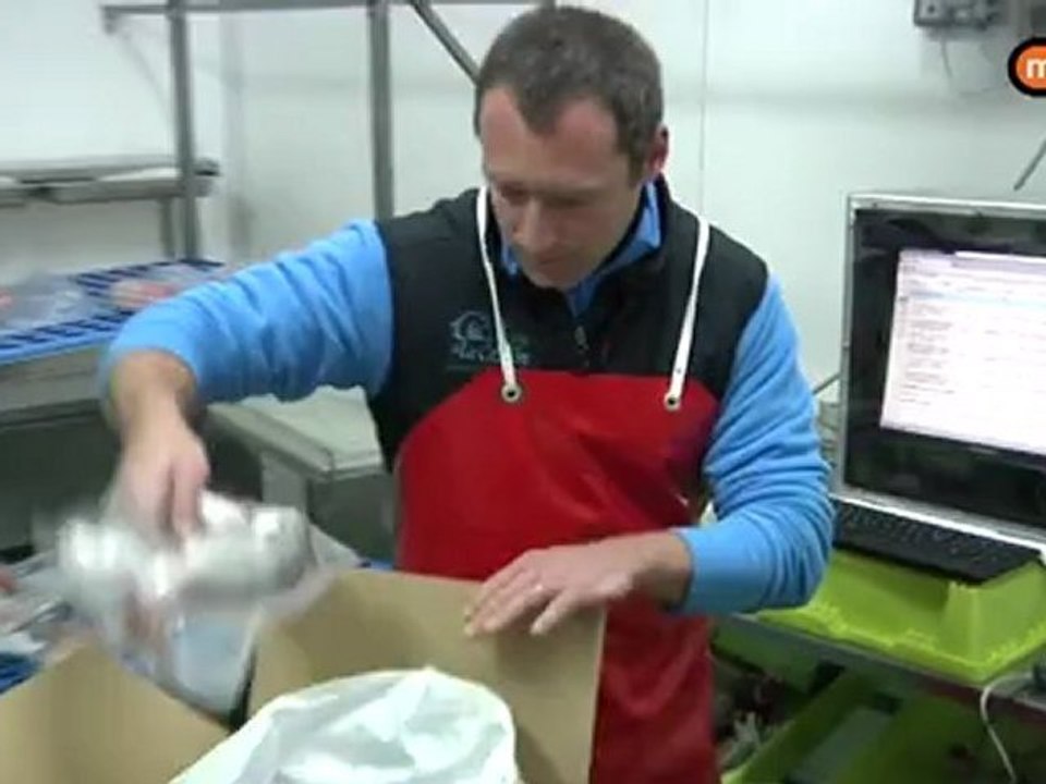 Il est frais mon poisson, il est frais !