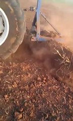 VIDEO0163