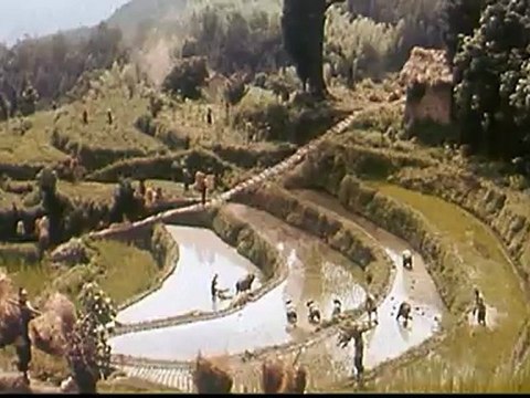 LE MAITRE D'ARMES - Bande-annonce VO