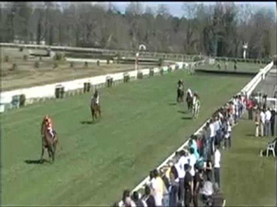 Catharine - Prix Diasos