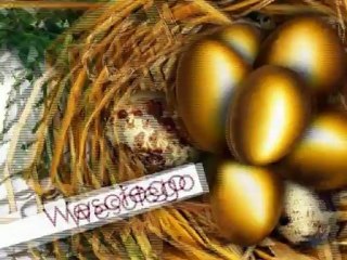 Wielkanocny Zając 2012