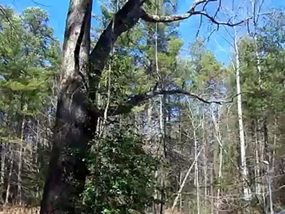 Damage to the roof (2 of 2)
