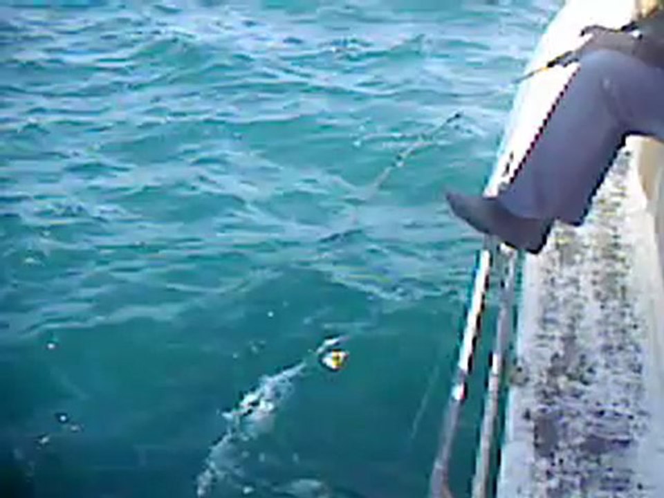 kzıklı ismail kaptan balık avı 04.04.2012